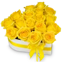 Květinový box růží